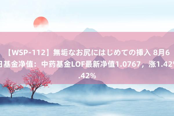 【WSP-112】無垢なお尻にはじめての挿入 8月6日基金净值：中药基金LOF最新净值1.0767，涨1.42%