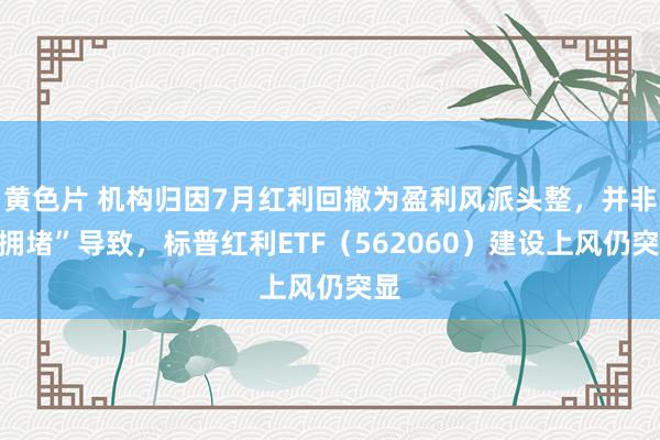 黄色片 机构归因7月红利回撤为盈利风派头整，并非“拥堵”导致，标普红利ETF（562060）建设上风仍突显