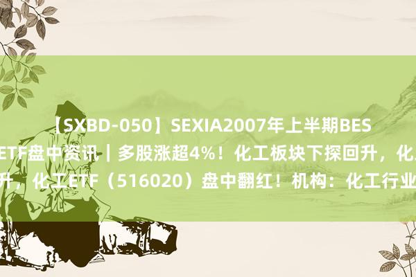 【SXBD-050】SEXIA2007年上半期BEST 全35作品8時間 化工ETF盘中资讯｜多股涨超4%！化工板块下探回升，化工ETF（516020）盘中翻红！机构：化工行业景气度有望边缘回暖