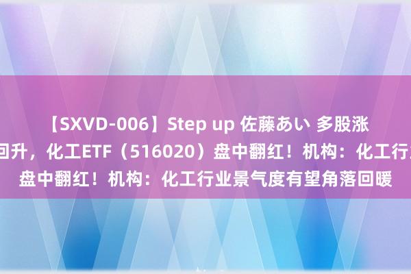 【SXVD-006】Step up 佐藤あい 多股涨超4%！化工板块下探回升，化工ETF（516020）盘中翻红！机构：化工行业景气度有望角落回暖