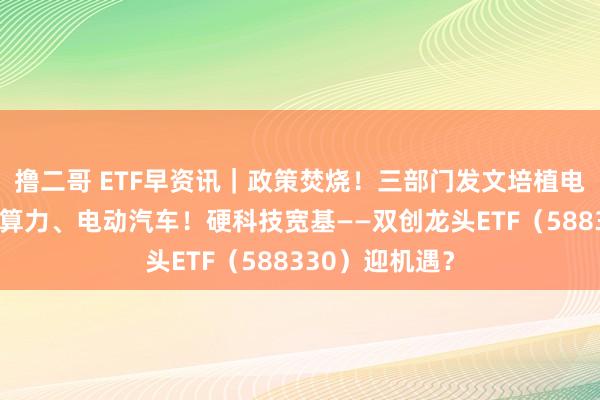 撸二哥 ETF早资讯｜政策焚烧！三部门发文培植电力系统，触及算力、电动汽车！硬科技宽基——双创龙头ETF（588330）迎机遇？