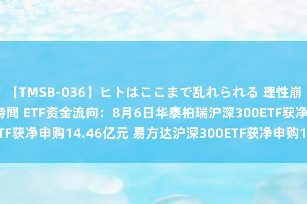 【TMSB-036】ヒトはここまで乱れられる 理性崩壊と豪快絶頂の記録4時間 ETF资金流向：8月6日华泰柏瑞沪深300ETF获净申购14.46亿元 易方达沪深300ETF获净申购11.33亿元（附图）