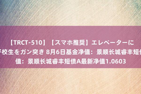 【TRCT-510】【スマホ推奨】エレベーターに挟まれたデカ尻女子校生をガン突き 8月6日基金净值：景顺长城睿丰短债A最新净值1.0603