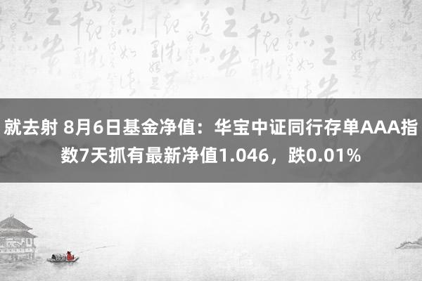 就去射 8月6日基金净值：华宝中证同行存单AAA指数7天抓有最新净值1.046，跌0.01%