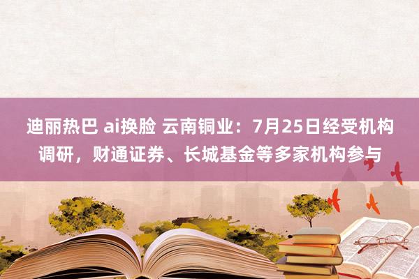 迪丽热巴 ai换脸 云南铜业：7月25日经受机构调研，财通证券、长城基金等多家机构参与