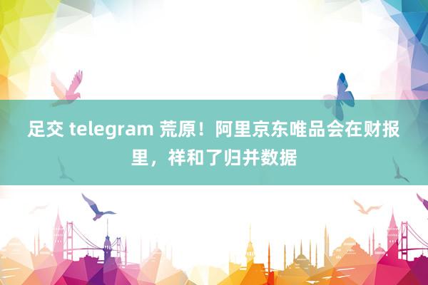 足交 telegram 荒原！阿里京东唯品会在财报里，祥和了归并数据