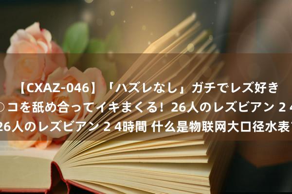 【CXAZ-046】「ハズレなし」ガチでレズ好きなお姉さんたちがオマ○コを舐め合ってイキまくる！26人のレズビアン 2 4時間 什么是物联网大口径水表？