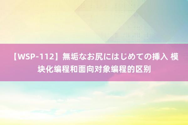 【WSP-112】無垢なお尻にはじめての挿入 模块化编程和面向对象编程的区别