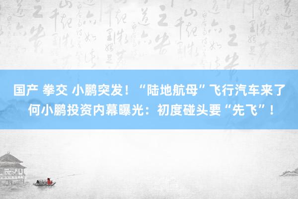 国产 拳交 小鹏突发！“陆地航母”飞行汽车来了 何小鹏投资内幕曝光：初度碰头要“先飞”！