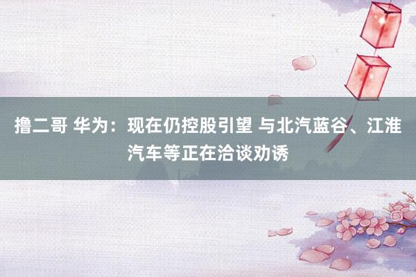 撸二哥 华为：现在仍控股引望 与北汽蓝谷、江淮汽车等正在洽谈劝诱