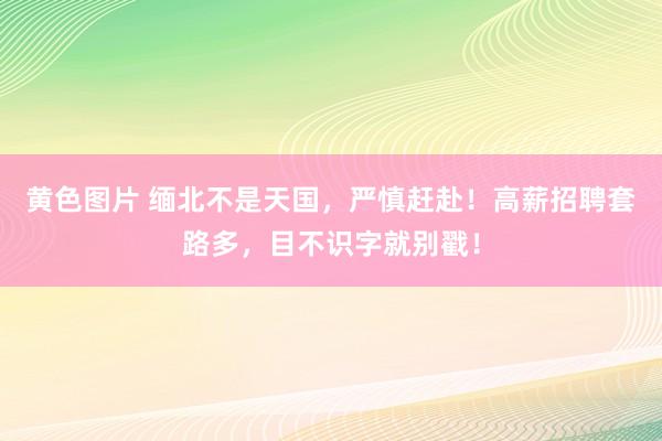 黄色图片 缅北不是天国，严慎赶赴！高薪招聘套路多，目不识字就别戳！