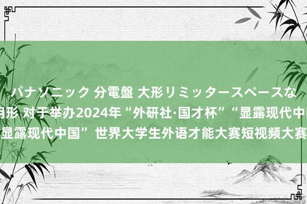 パナソニック 分電盤 大形リミッタースペースなし 露出・半埋込両用形 对于举办2024年“外研社·国才杯”“显露现代中国” 世界大学生外语才能大赛短视频大赛（校赛）的示知