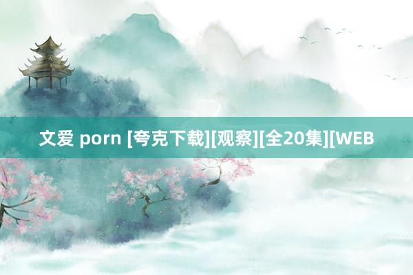 文爱 porn [夸克下载][观察][全20集][WEB